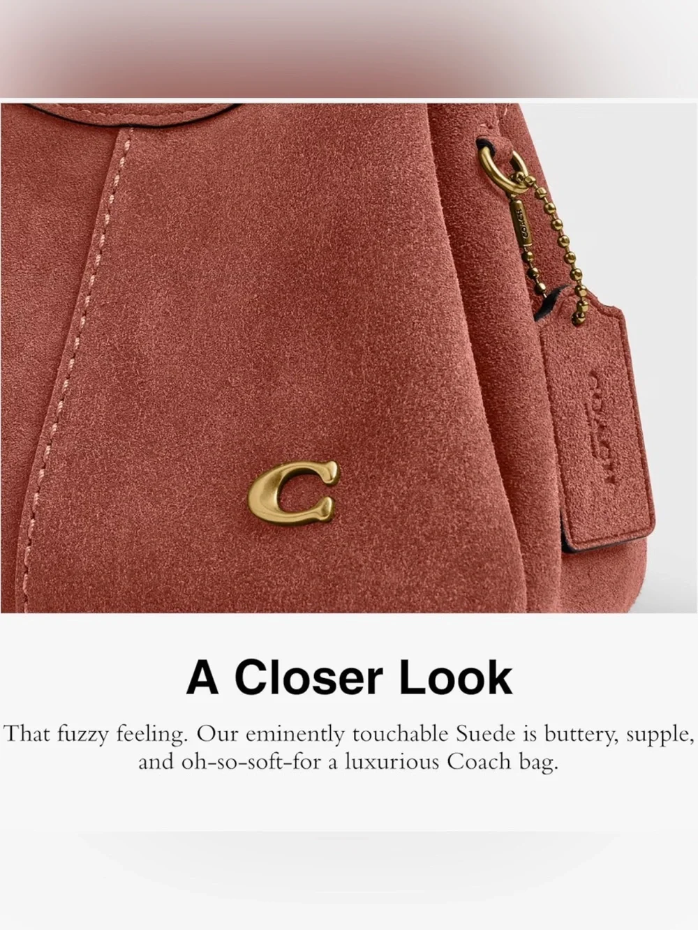 Coach Lana mini Suede shoulder bag 19